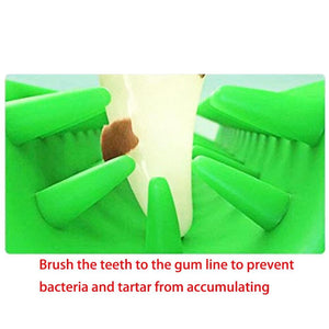 Dog Teeth Cleaning Toy